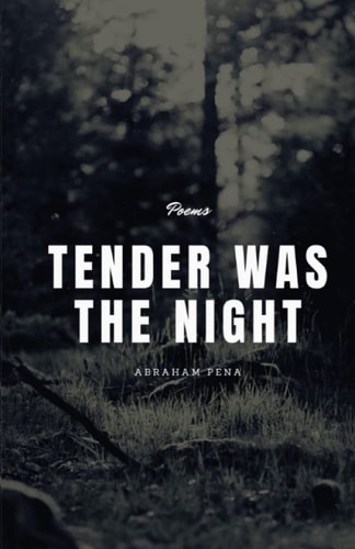 Tender was the Night