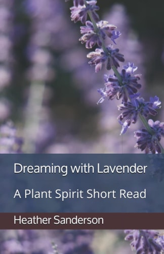 Dreaming with Lavender A Plant Spirit Short Read