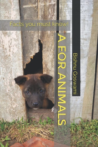 A for Animals Facts You Must Know!