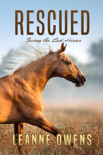 Rescued Saving the Lost Horses