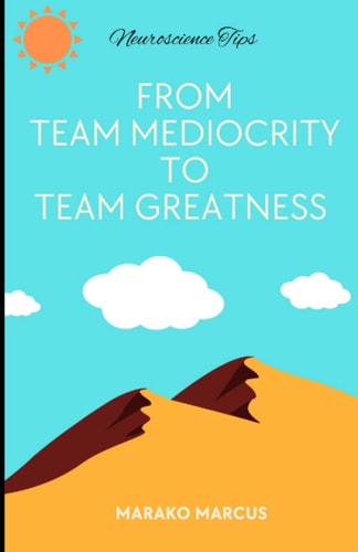 From Team Mediocrity To Team Greatness A Handbook to Working Within Teams