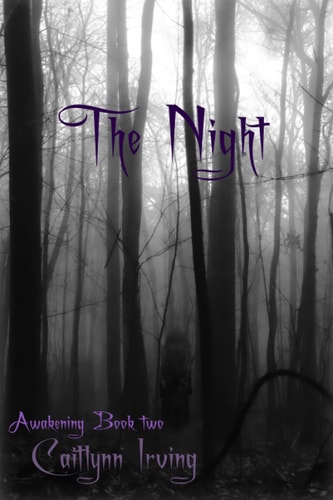 Awakening The Night: Book 2