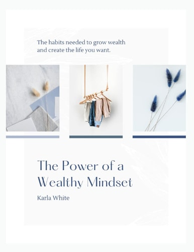 The Power of a Wealthy Mindset The Habits Needed to Grow Wealth and Create the Life You Want.