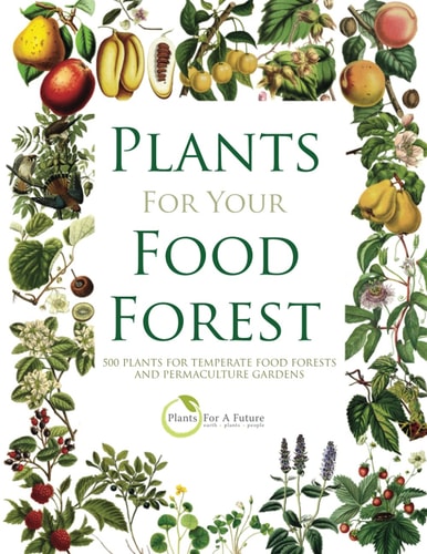 Plants for Your Food Forest 500 Plants for Temperate Food Forest and Permaculture Gardens