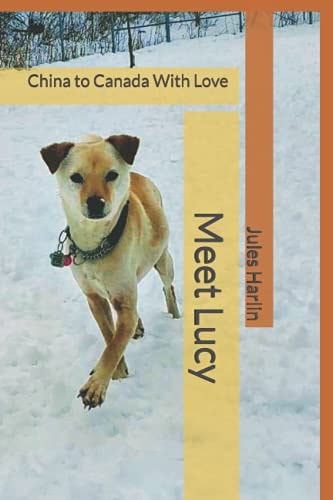 Meet Lucy From China to Canada With Love