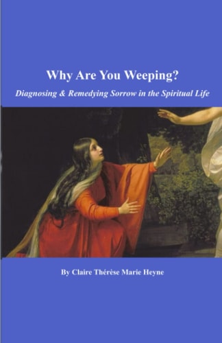 Why Are You Weeping? Diagnosing & Remedying Sorrow in the Spiritual Life