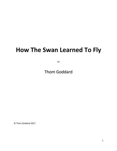 How The Swan Learned To Fly