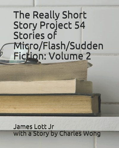 The Really Short Story Project 54 Stories of Micro/Flash/Sudden Fiction Volume 2