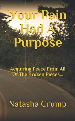 Your Pain Had a Purpose Acquiring Peace from All of the Broken Pieces ...