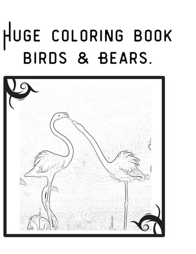 Huge Coloring Book Birds & Bears. Over 200 Coloring Pages!! -- from Beginner to Advanced -- Amazing Photos of Animals in Their Habitat.