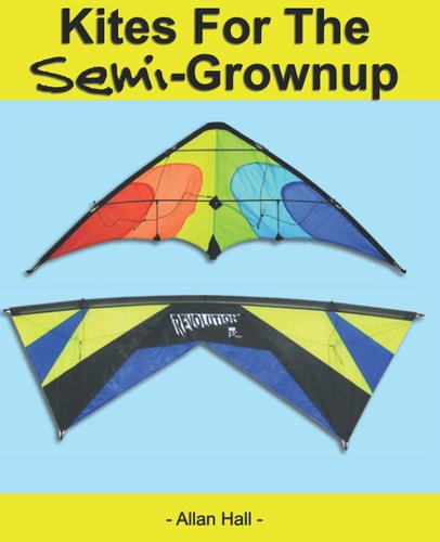 Kites For The Semi-Grownup Black & White Interior Edition