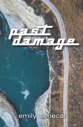 Past Damage