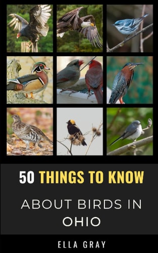 50 Things to Know About Birds in Ohio Birding in the Buckeye State