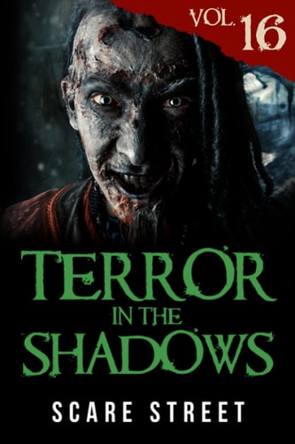 Terror in the Shadows Vol. 16 Horror Short Stories Collection with Scary Ghosts, Paranormal & Supernatural Monsters