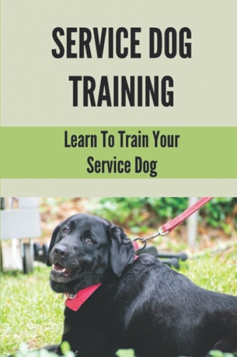 Service Dog Training Learn To Train Your Service Dog: Training Service Dog For Dummi