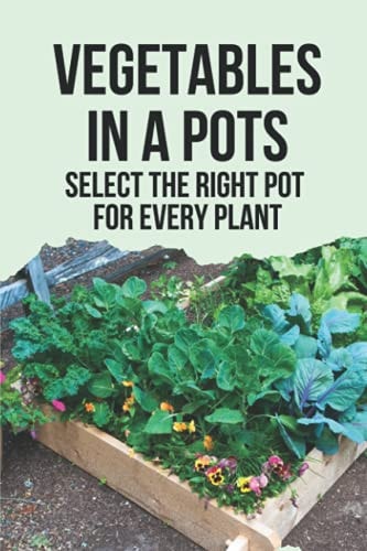 Vegetables In A Pots Select The Right Pot For Every Plant: Unique Container Gardening Ideas