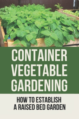 Container Vegetable Gardening How To Establish A Raised Bed Garden: Develop A Thriving Container Garden
