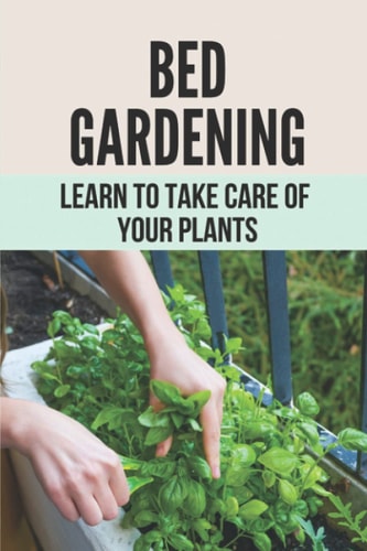 Bed Gardening Learn To Take Care Of Your Plants: How To Make Garden At Home