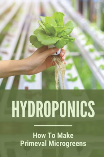 Hydroponics How To Make Primeval Microgreens: Hydroponic System