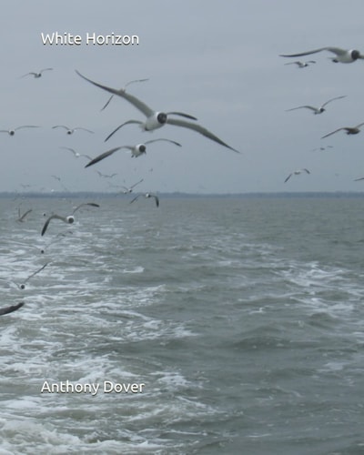 White Horizon