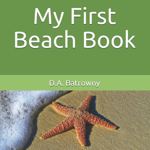 My First Beach Book
