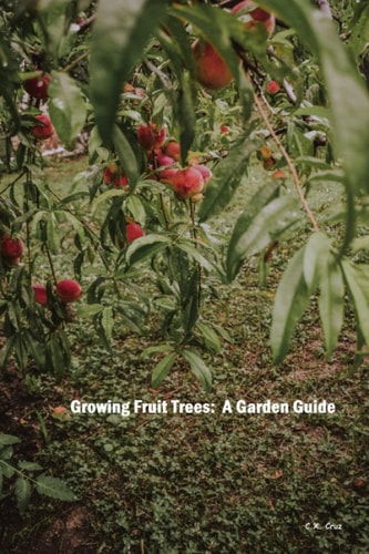 Growing Fruit Trees A Garden Guide