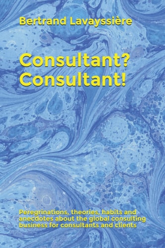 Consultant? Consultant! Peregrinations, Theories, Habits and Anecdotes about the Global Consulting Business for Consultants and Clients