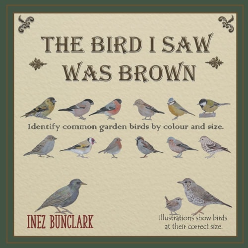 The Bird I Saw Was Brown