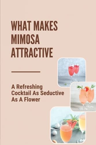 What Makes Mimosa Attractive A Refreshing Cocktail As Seductive As A Flower: What To Mix With Mimosa
