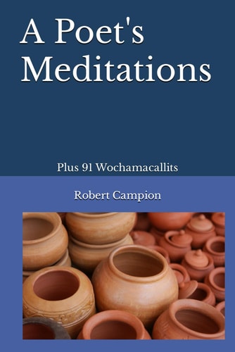 A Poet's Meditations Plus 91 Wochamacallits