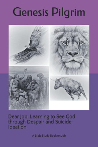 Dear Job Learning to See God Through Despair and Suicide Ideation: A Bible Study Book on Job
