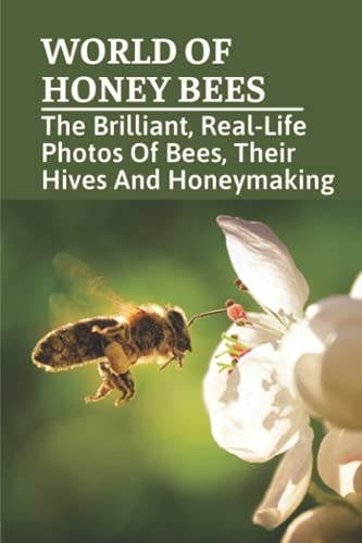 World Of Honey Bees The Brilliant, Real-Life Photos Of Bees, Their Hives And Honeymaking: Bee Facts For Kids