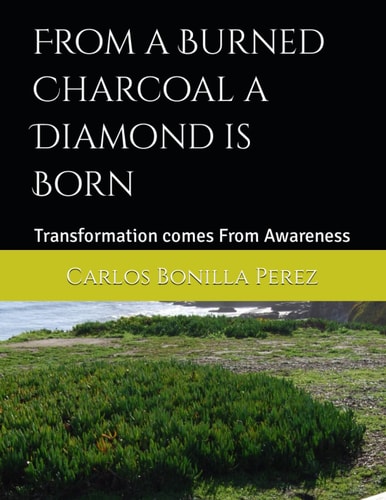 From a Burned Charcoal a Diamond is Born Transformation Comes From Awareness