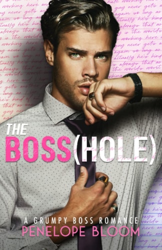 The Boss(hole) An Enemies To Lovers Romance