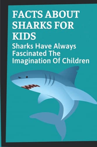 Facts About Sharks For Kids Sharks Have Always Fascinated The Imagination Of Children: Shark Information