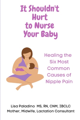 It Shouldn't Hurt to Nurse Your Baby Healing the Six Most Common Causes of Nipple Pain