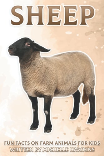 Sheep Fun Facts on Farm Animals for Kids #4