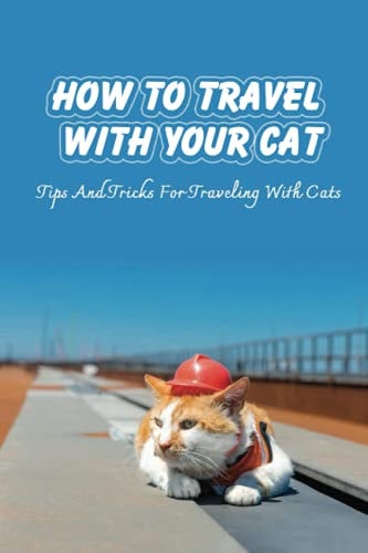How To Travel With Your Cat Tips And Tricks For Traveling With Cats: Tips For Traveling With Cats