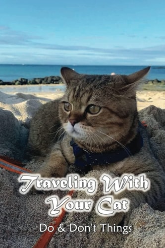 Traveling With Your Cat Do & Don't Things: Don'T Forget This When Traveling With Your Cat