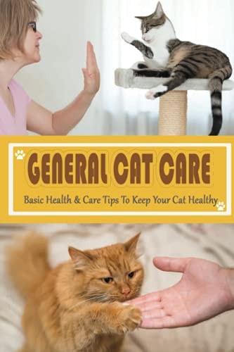 General Cat Care Basic Health & Care Tips To Keep Your Cat Healthy: Tips On Caring For Your Cat