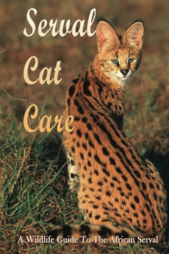 Serval Cat Care A Wildlife Guide To The African Serval: Facts About The Exotic Breed