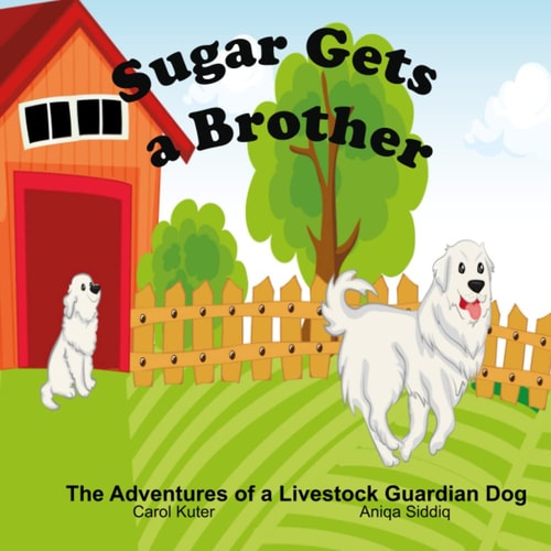 Sugar Gets a Brother The Adventures of a Livestock Guardian Dog
