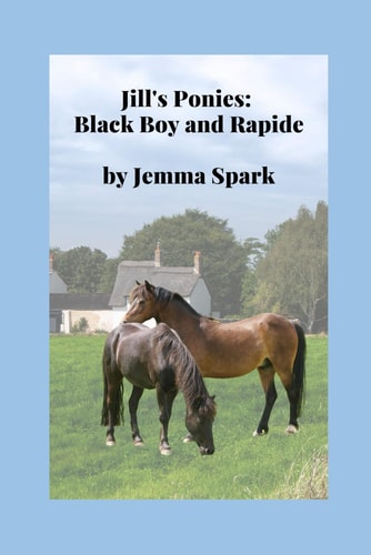 Jill's Ponies Black Boy and Rapide
