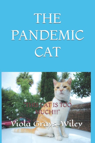 THE PANDEMIC CAT ( Academic Vocabulary Grades 2-4) This Cat Is Too Much!!!