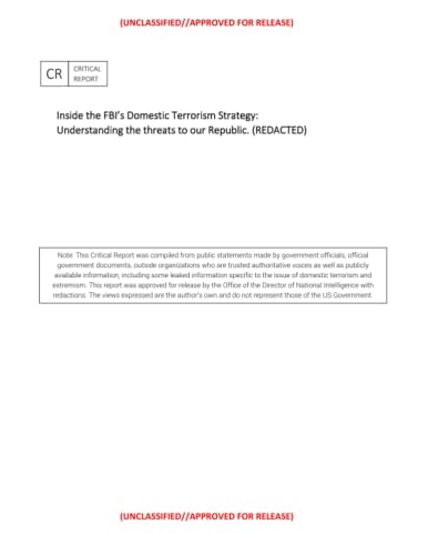Inside the FBI's Domestic Terrorism Strategy : Understanding the Threats to Our Republic. (REDACTED)