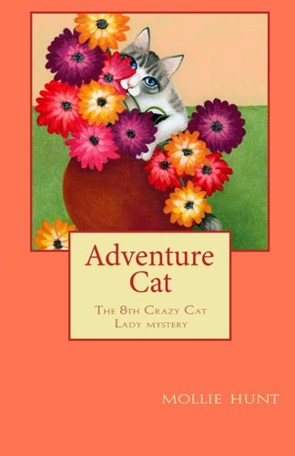Adventure Cat