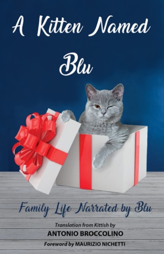 A Kitten Named Blu