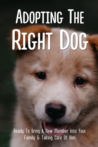 Adopting The Right Dog Ready To Bring A New Member Into Your Family & Taking Care Of Him: Adopting A Dog Tips