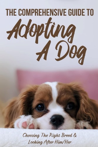 The Comprehensive Guide To Adopting A Dog Choosing The Right Breed & Looking After Him/Her: What To Know Before You Adopt A Dog