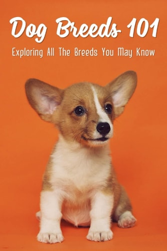 Dog Breeds 101 Exploring All The Breeds You May Know: Dog Breeds With Interesting History
